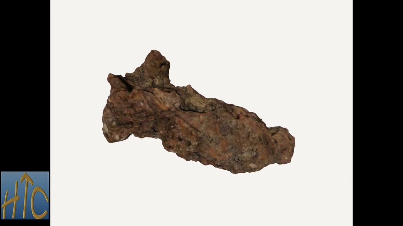 jn0660 Fossil Turtle Coprolite