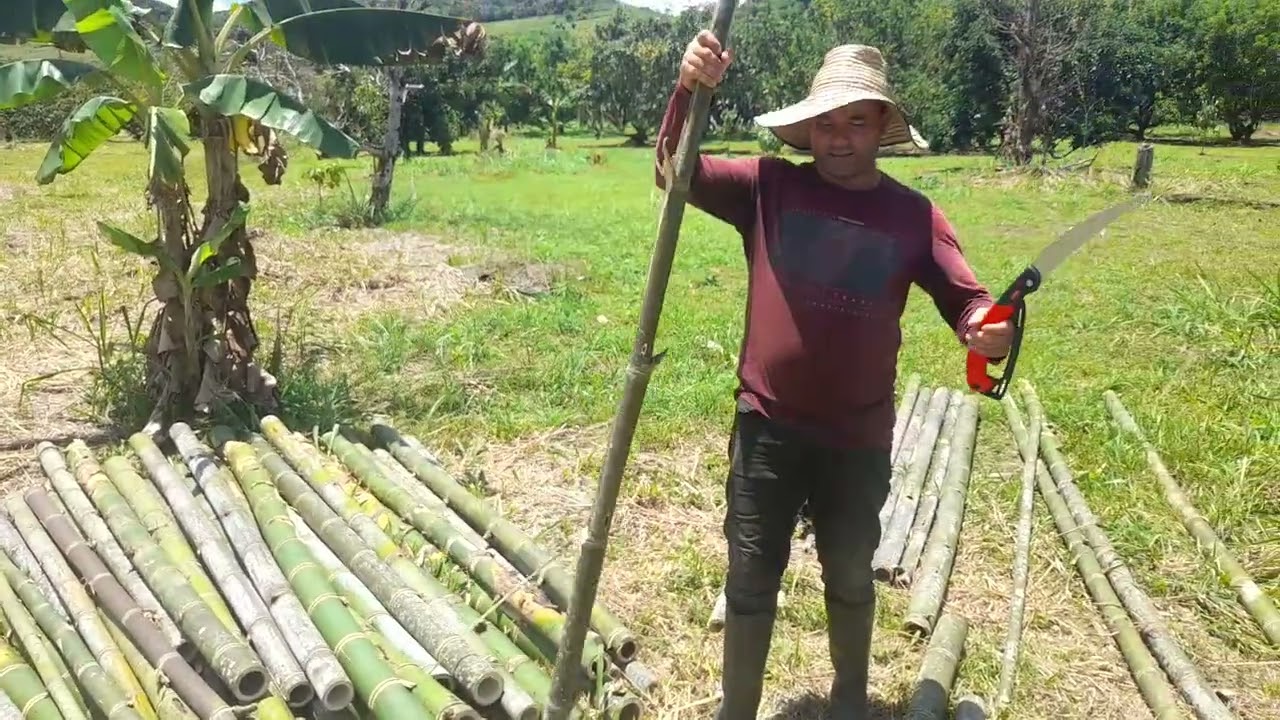 Medida recomendada de los estacones para el cultivo de maracuyá.