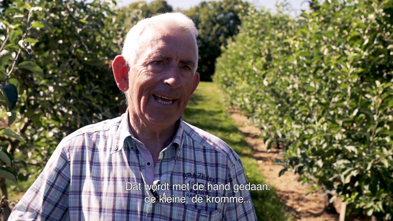 Uitdunnen van de boomgaard