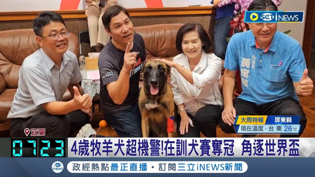 贏得全國總冠軍!  台灣訓犬師攜愛犬出征世界盃 4歲牧養犬超機警!在訓犬賽奪冠 角逐世界盃 林姿妙大讚:狗比小孩還乖│記者 黃國瑞 胡嘉珍│【台灣要聞】20230819│三立iNEWS