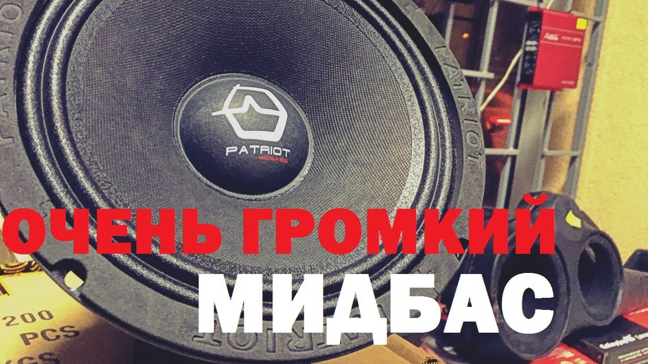 Выбираем что бы играло громко и качественно. Озвучит площадку с диким  панчем. Ural PT200 Midbass.