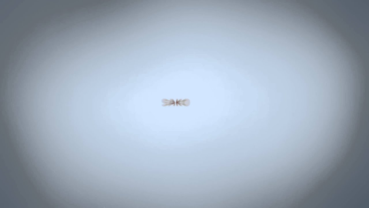 Neteisėtai Padaryti - p. Aktorius (lyrics video)