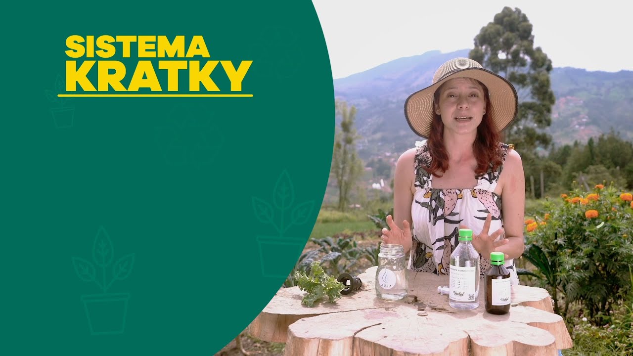 Cultivos en agua: Sistema Kratky