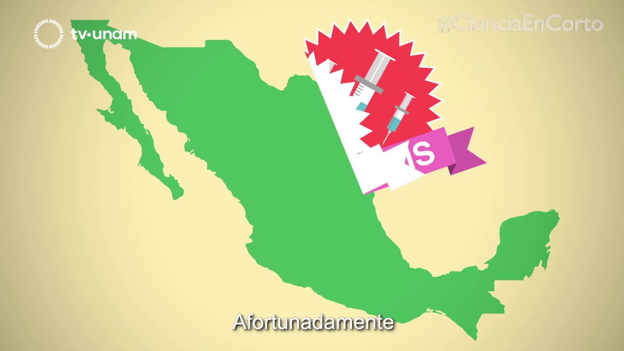 LA IMPORTANCIA DE LAS VACUNAS