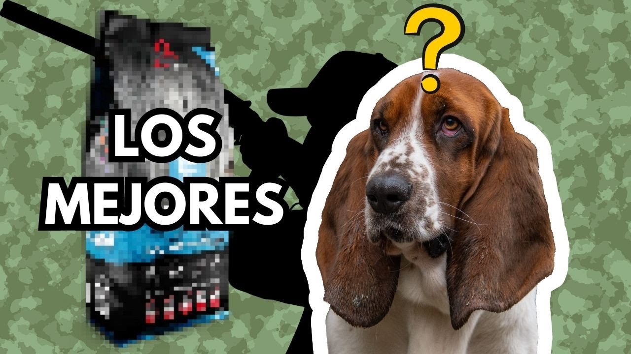 Mejores PIENSOS para PERROS de CAZA 2025