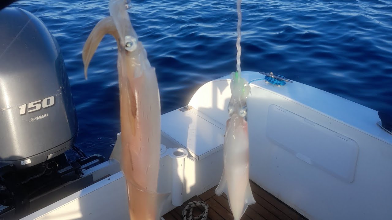 Pesca dei Calamari: come li vediamo col nostro ecoscandaglio quale artificiale e meglio usare