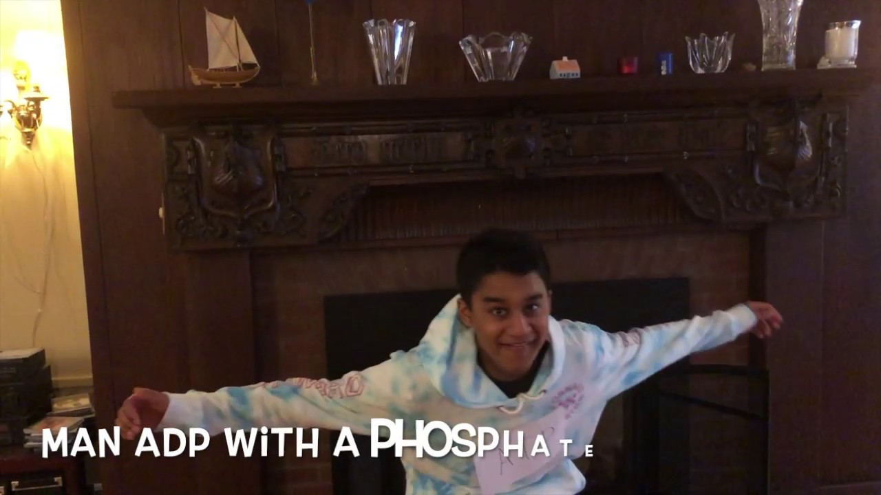 Photosynthesis - Sicko Mode Parody (OFFICIAL VIDEO)