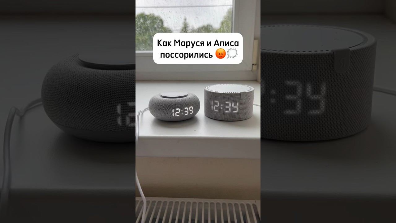 Маруся или Алиса? 😉 за кого голосуешь ты? #колонки #маруся #рига #европа #алиса #приколы #шутки