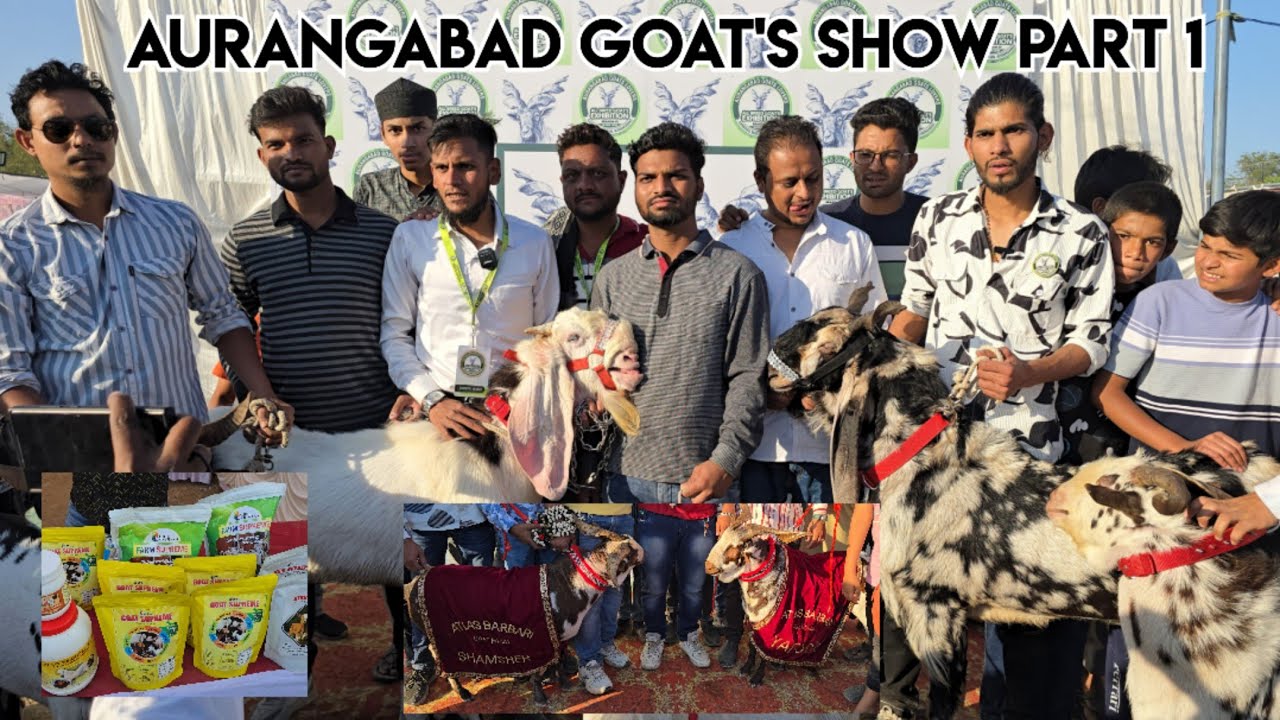 Aurangabad goats show part 1 |All breed goat Exhibition in Aurangabad| औरंगाबाद बकरी प्रदर्शनी भाग 1