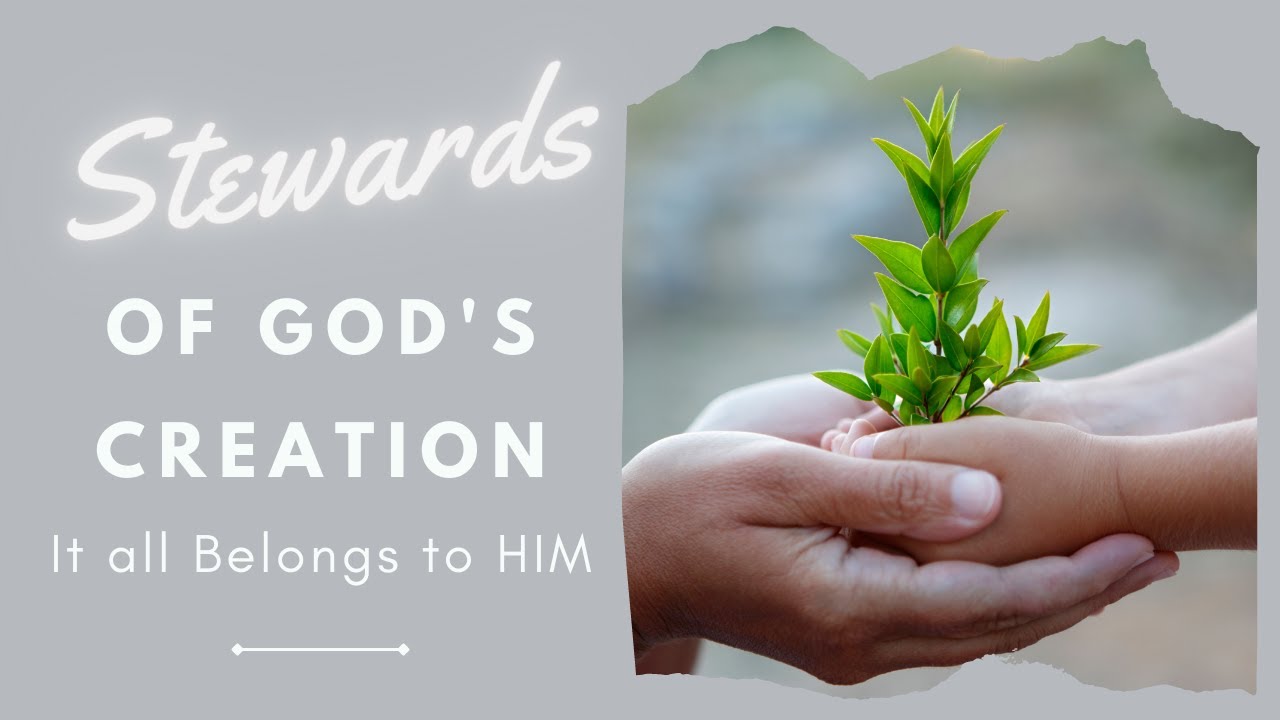 Why We Should Care About Stewardship of God's Creation