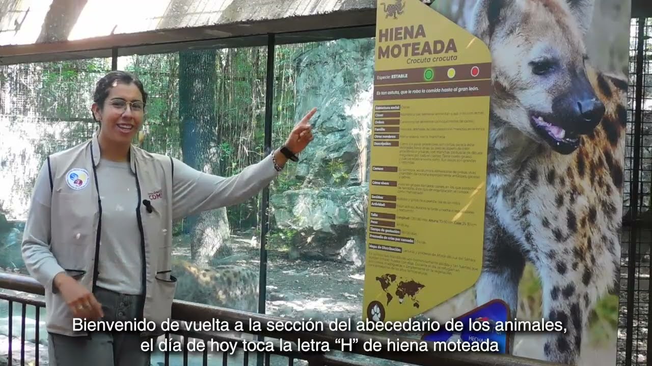 H de Hiena Moteada
