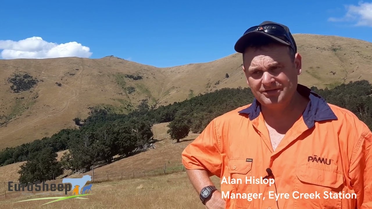 Interview with Alan Hislop, manager of Eyre Creek PAMU farm in New Zealand.