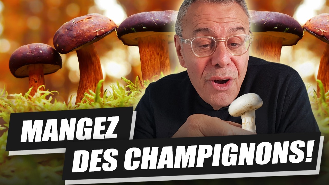 CHAMPIGNONS : LES SUPER POUVOIRS DES CÈPES, CHAMPIGNON DE PARIS, GIROLLES... C'EST MAGIQUE !
