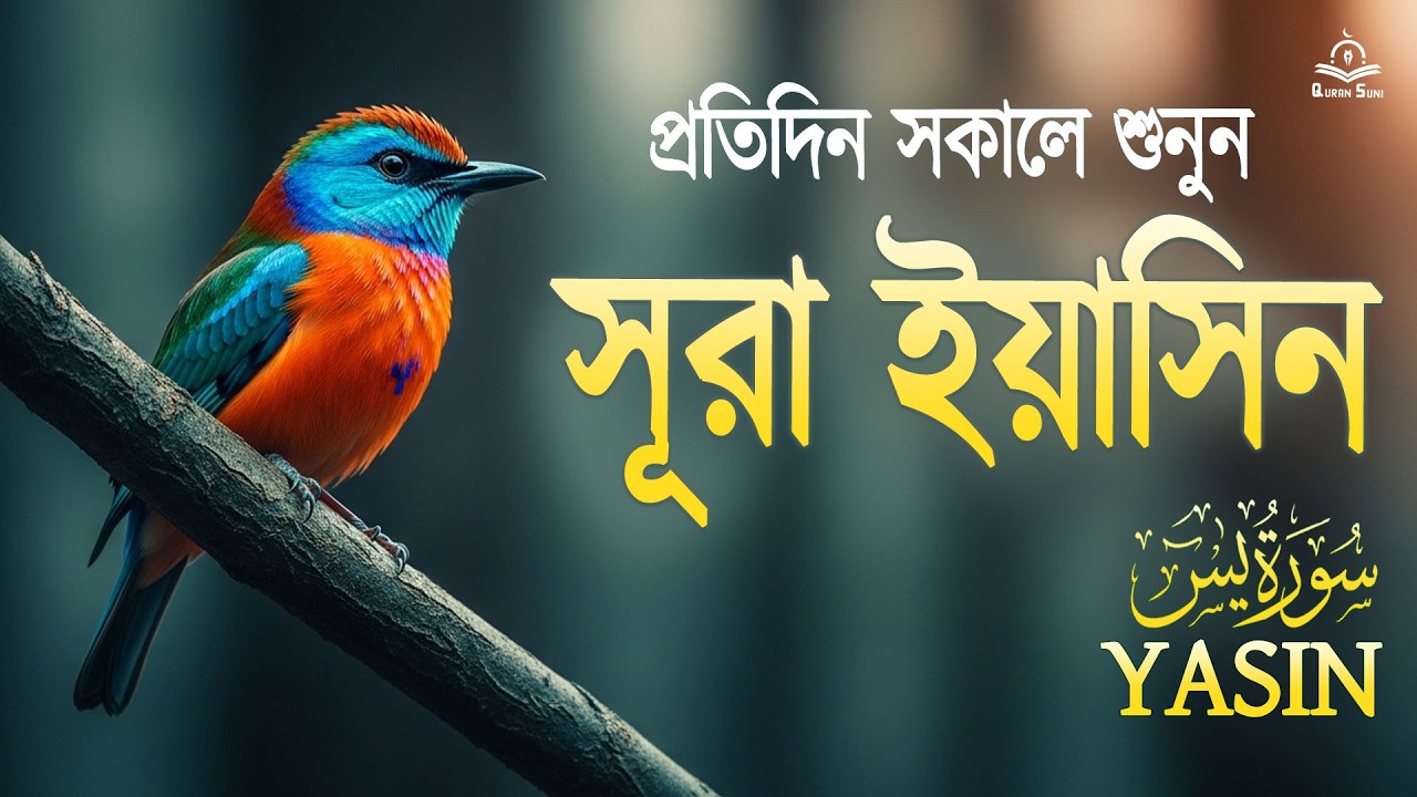 সূরা ইয়াসিন  অন্তর শীতল করা কন্ঠে মন ভালো হয়ে যাবে ইনশাআল্লাহ  Surah Yasin