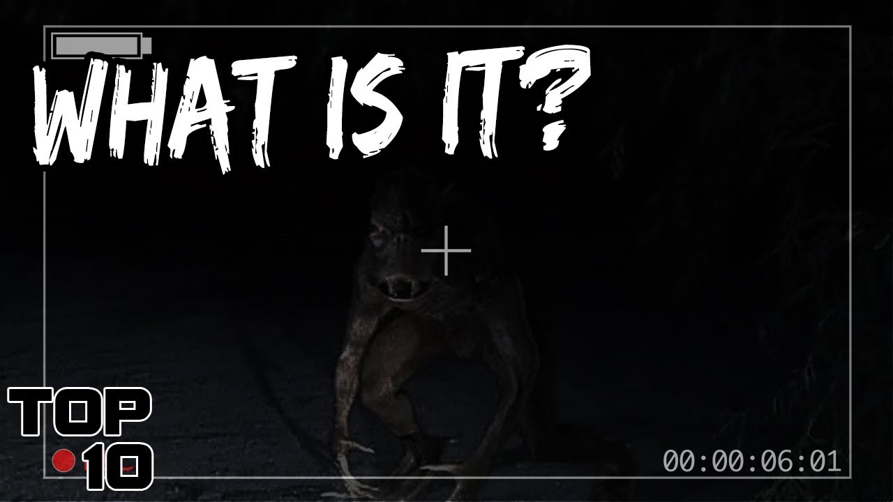 Top 10 Mysterious Sightings Caught On Camera