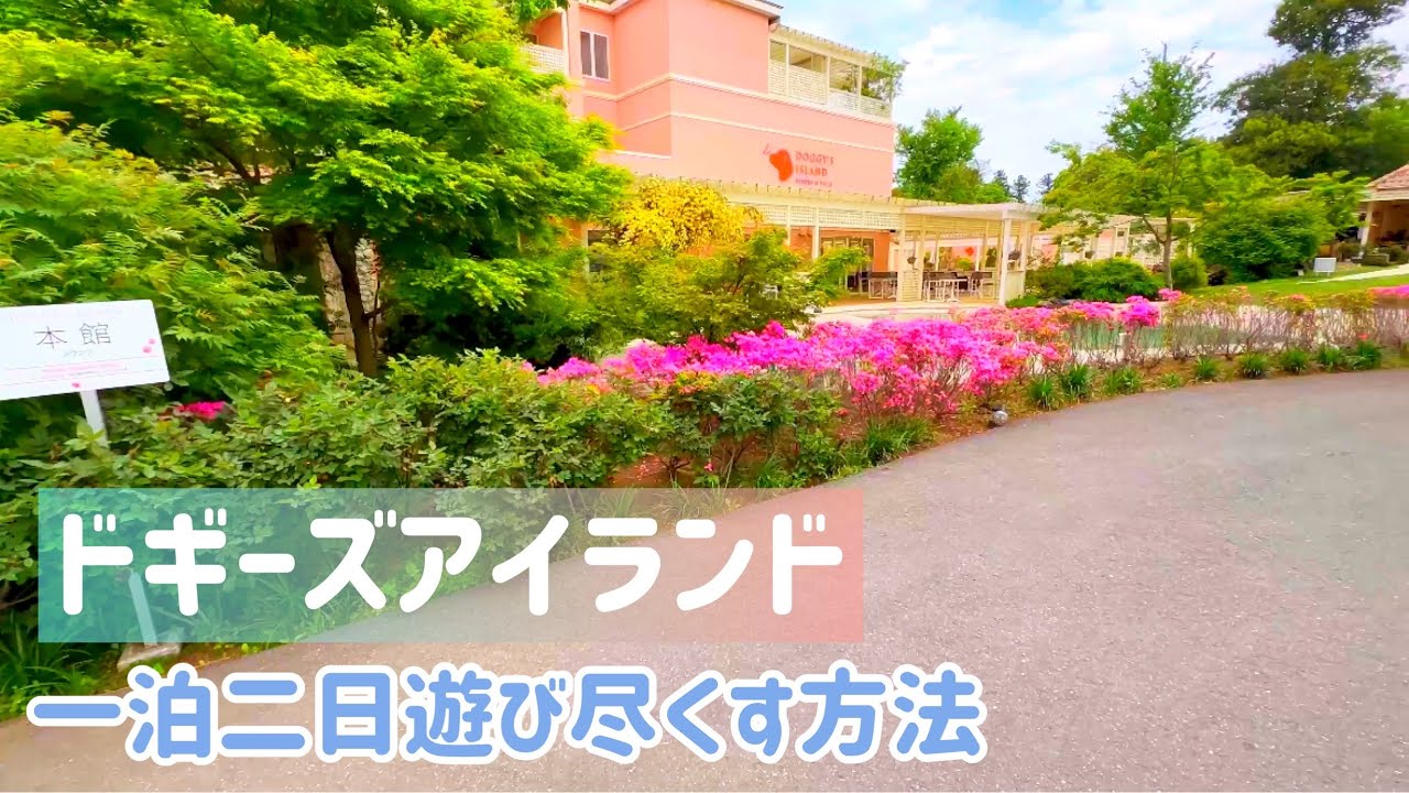 【ミニピン】ドギーズアイランドを一泊二日で遊び尽くす方法/大河3歳♂