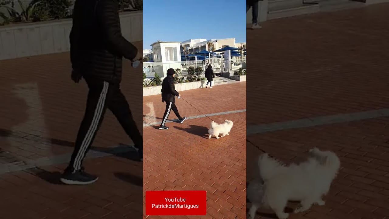 Marche active, Hôtel Pickalbatros Palais Des Roses. La Corniche. Agadir. 05:42 pm. 25/01/26