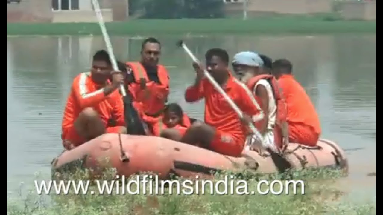 Rescue work during Punjab floods: Children, women evacuated with rescue boats by NDRF