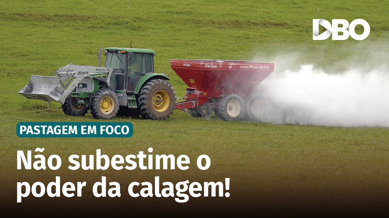 Aplicar calcário na cobertura da pastagem funciona mesmo?