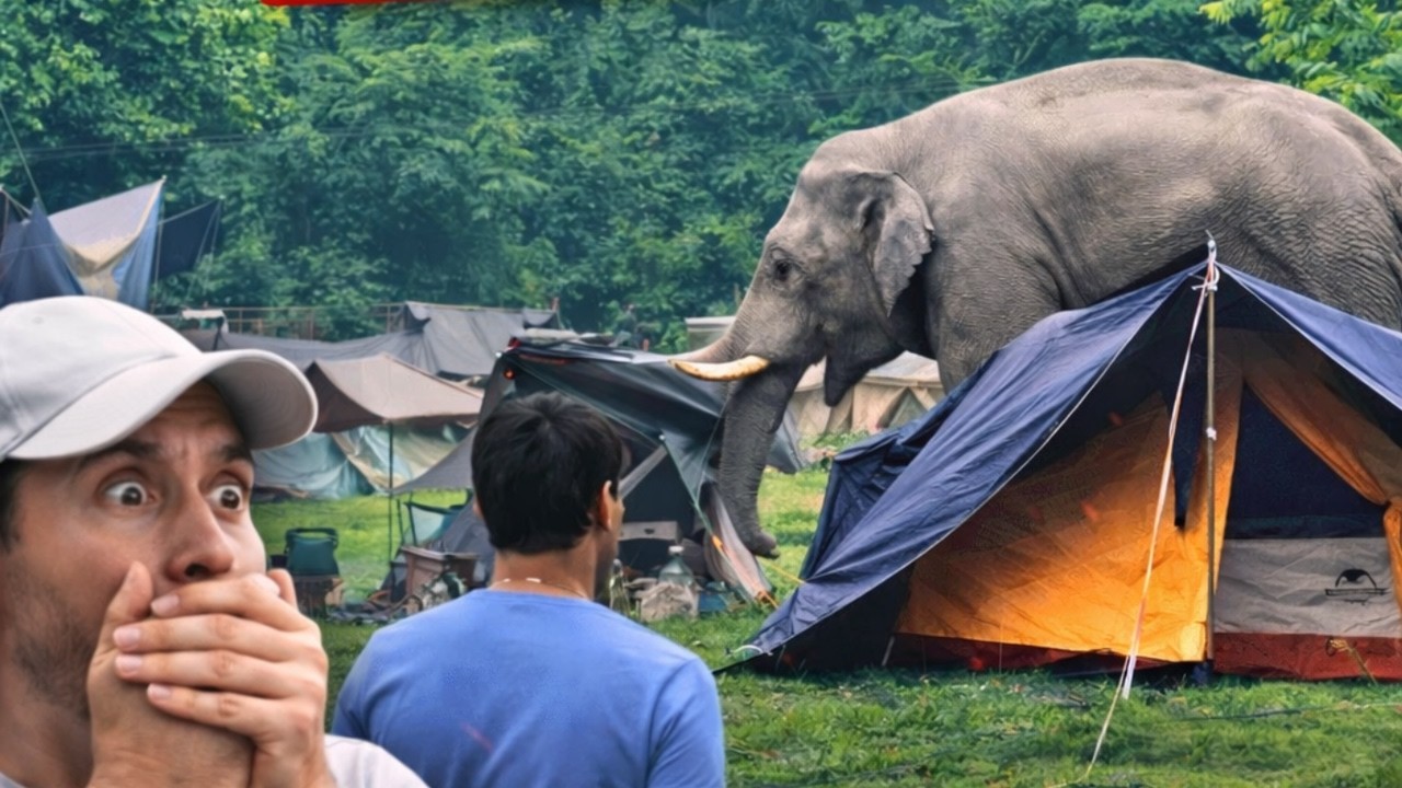 Camping Fails Compilation! Hilarious Mishaps From The Wilderness