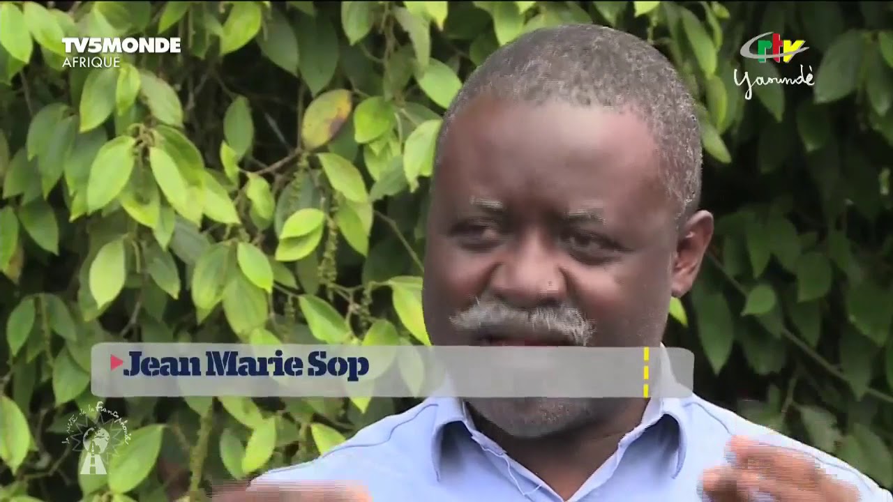 Poivre de Penja et miel blanc d'Oku, trésors culinaires du Cameroun