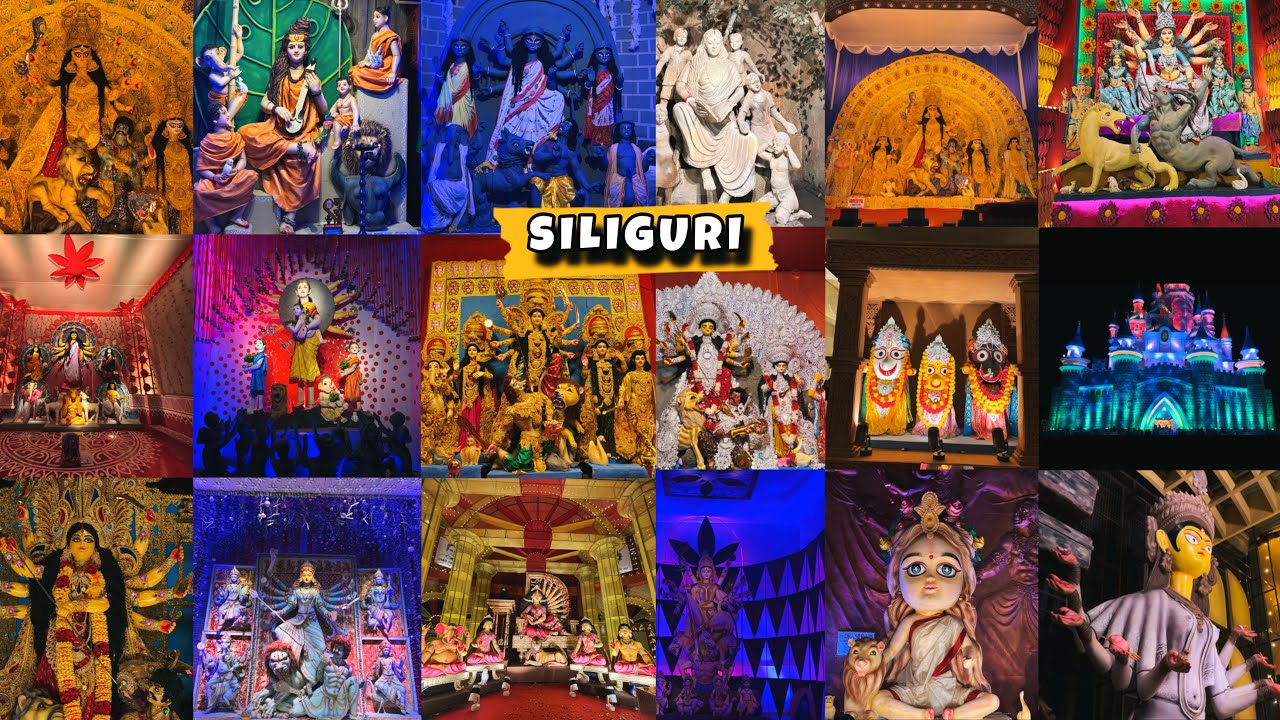 Best Top 20 Durga Puja in Siliguri 2025 || Siliguri Durga Puja Pandals 2025 #trending #durgapuja 