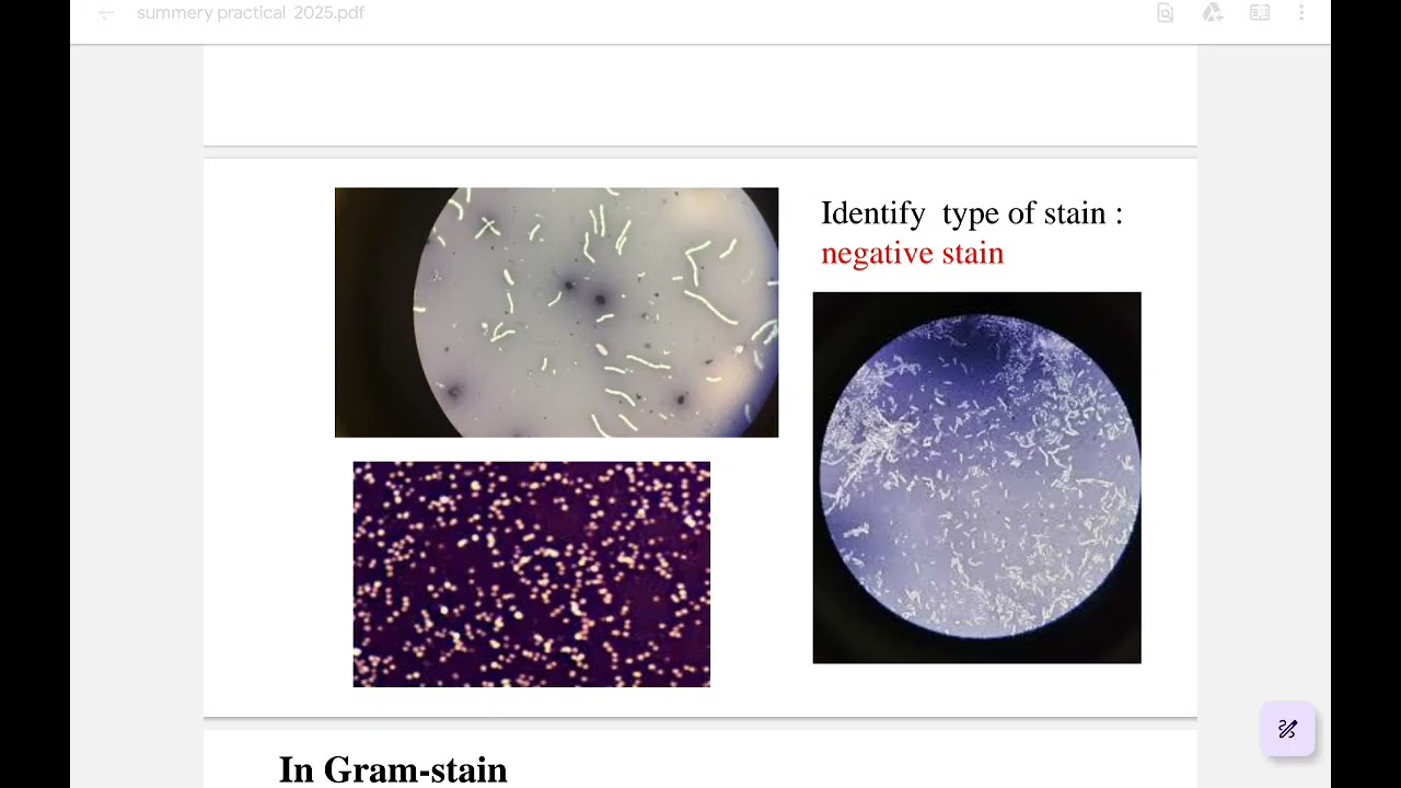 Revision on practical microbiology ninu