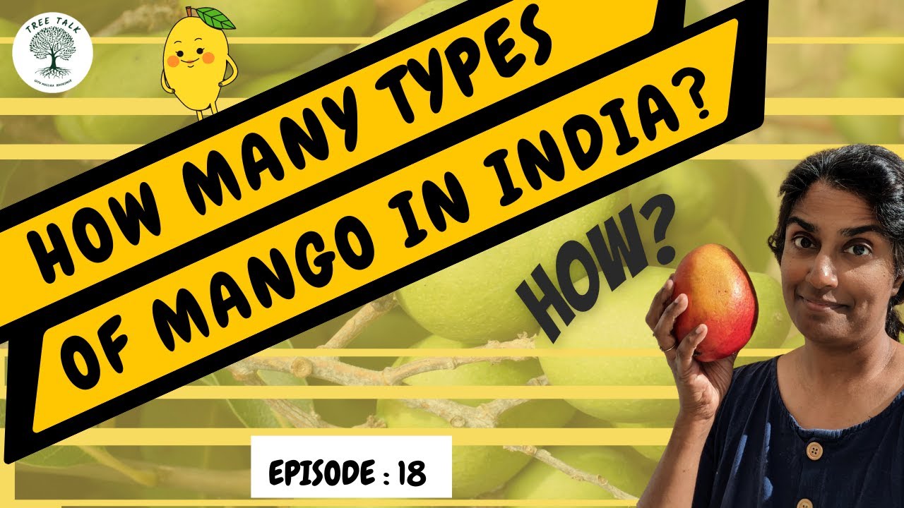 How many varieties of Mango are found in India? Ep 18