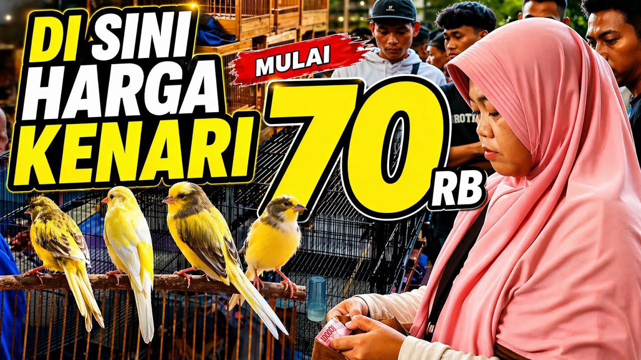 VLOG PASAR‼️Disini KENARI MELIMPAH mulai 70rb...