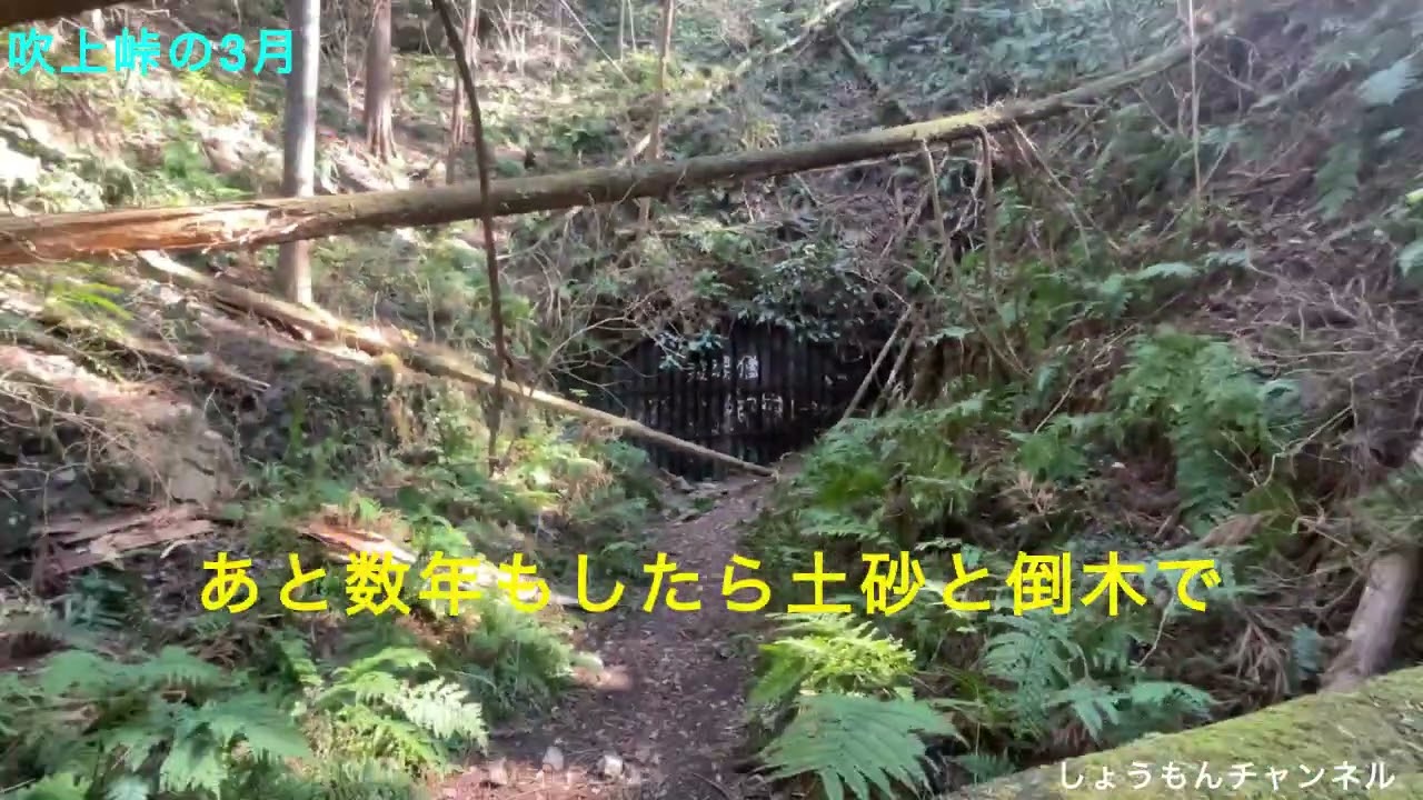 【吹上峠の3月】さらに倒木と土砂崩れが進行・・。