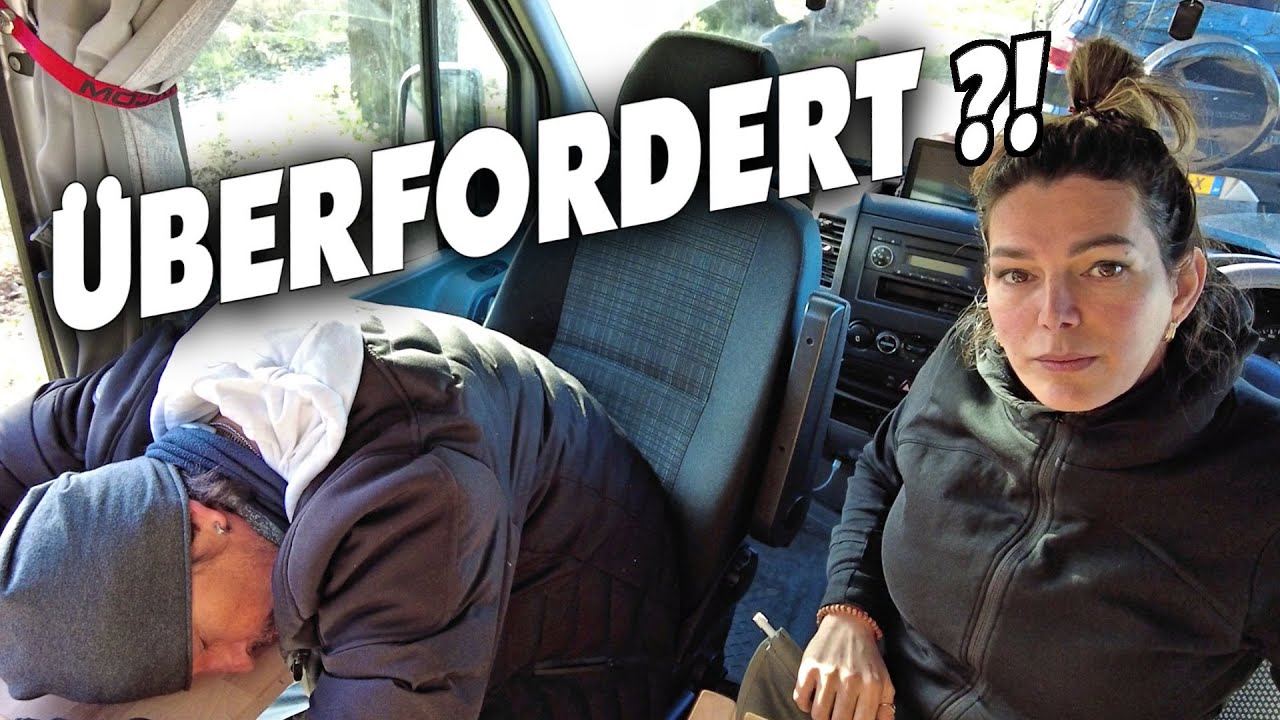 ❌ Neuer Klapptisch für JT Optimierungsarbeiten in Venlo ❌ Kätzchen im Kofferraum 😲😲😲