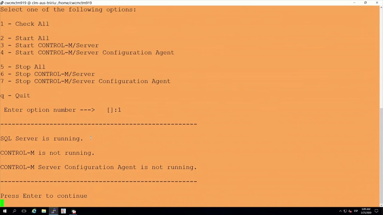 CWCM: Активация аварийного восстановления Control-M/Server