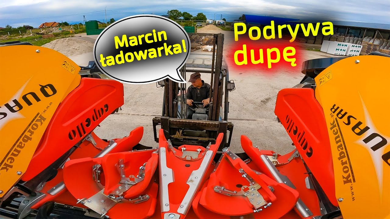Capello Quasar 6 do zbioru kukurydzy na ziarno 👉 Nie dali rady rozładować [Korbanek]