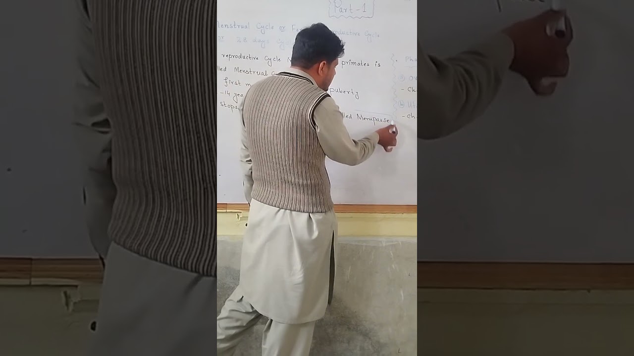 Class 12 biology chapter Reproduction. Menstrual cycle part 1#classxiibiology #foryou 