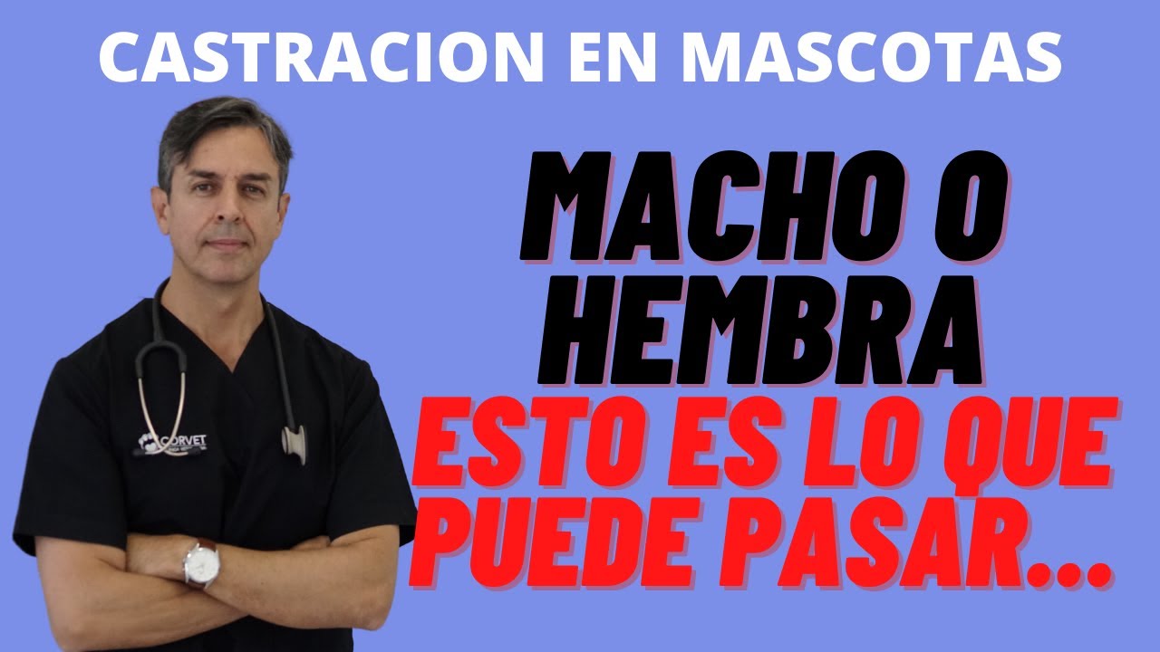 CASTRAR O NO CASTRAR A MI MASCOTA/ CUAL ES LA VERDAD AL RESPECTO?