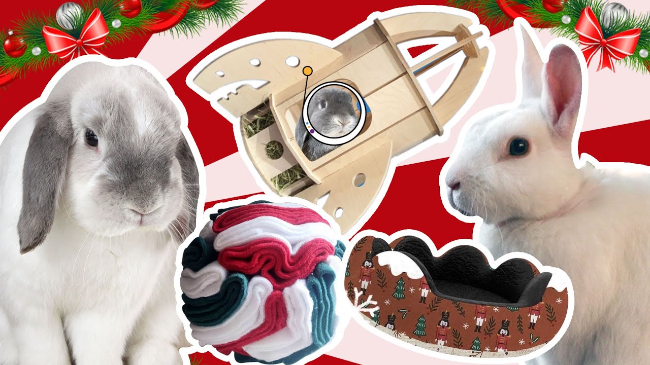 Des idées cadeaux pour lapins !