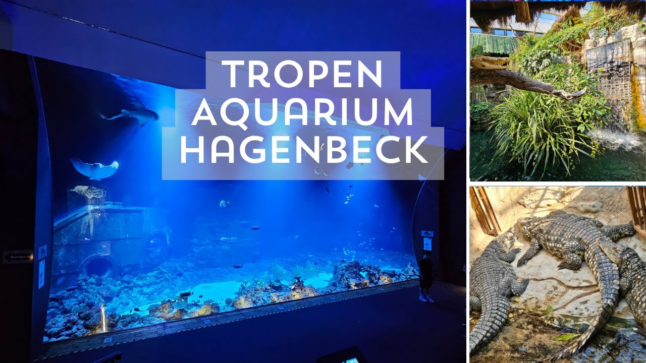 Tropenaquarium Hagenbeck 2024 | Lohnt sich der Besuch neben dem Zoo? Rundgang und Highlights!