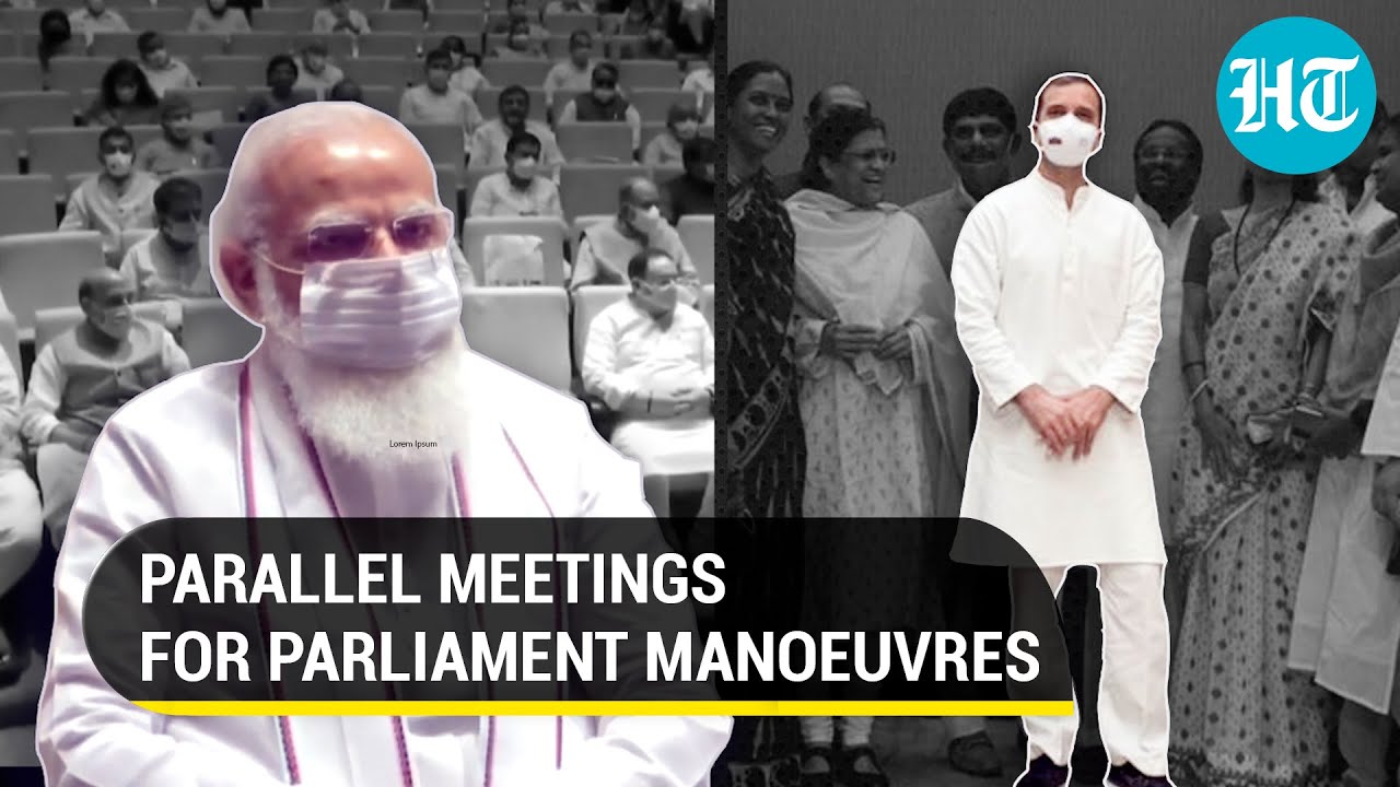 Watch: PM Modi, Rahul Gandhi's parallel meetings with BJP MPs, Opposition over Parliament disruption