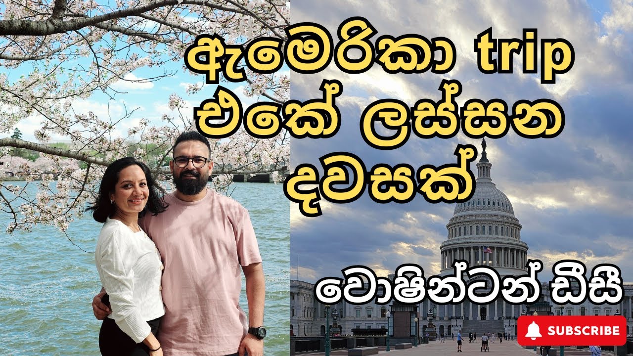 ඇමරිකා ට්‍රිප් එකේ ලස්සනම දවසක් 🇺🇸| Washington DC| ට්‍රම්ප්ගේ ගෙදර බලන්න ගියා 😂| Cherry Blossoms 🌸
