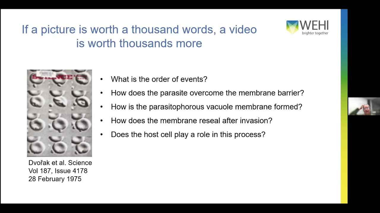 Kelly Rogers - Quantitative 4D microscopy; immunity, infection and cell death - Imaging ONEWORLD