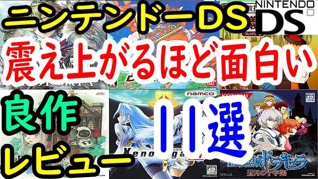【ニンテンドーDS】震え上がるほど面白い！良作11選レビュー【DS】