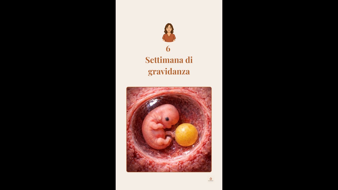 6ª settimana di gravidanza: cosa succede davvero | Podcast Mammamather