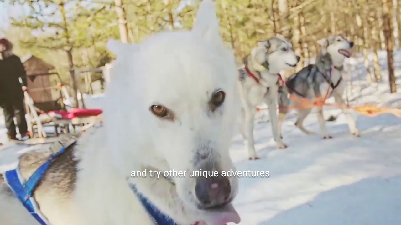Experience the sea, snow and ice all-year-round in Kemi