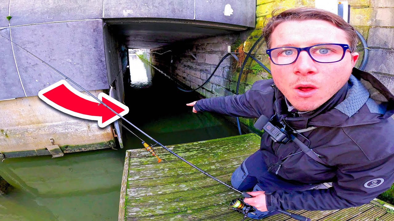 Les structures de cette ville regorgent de GROS POISSONS !