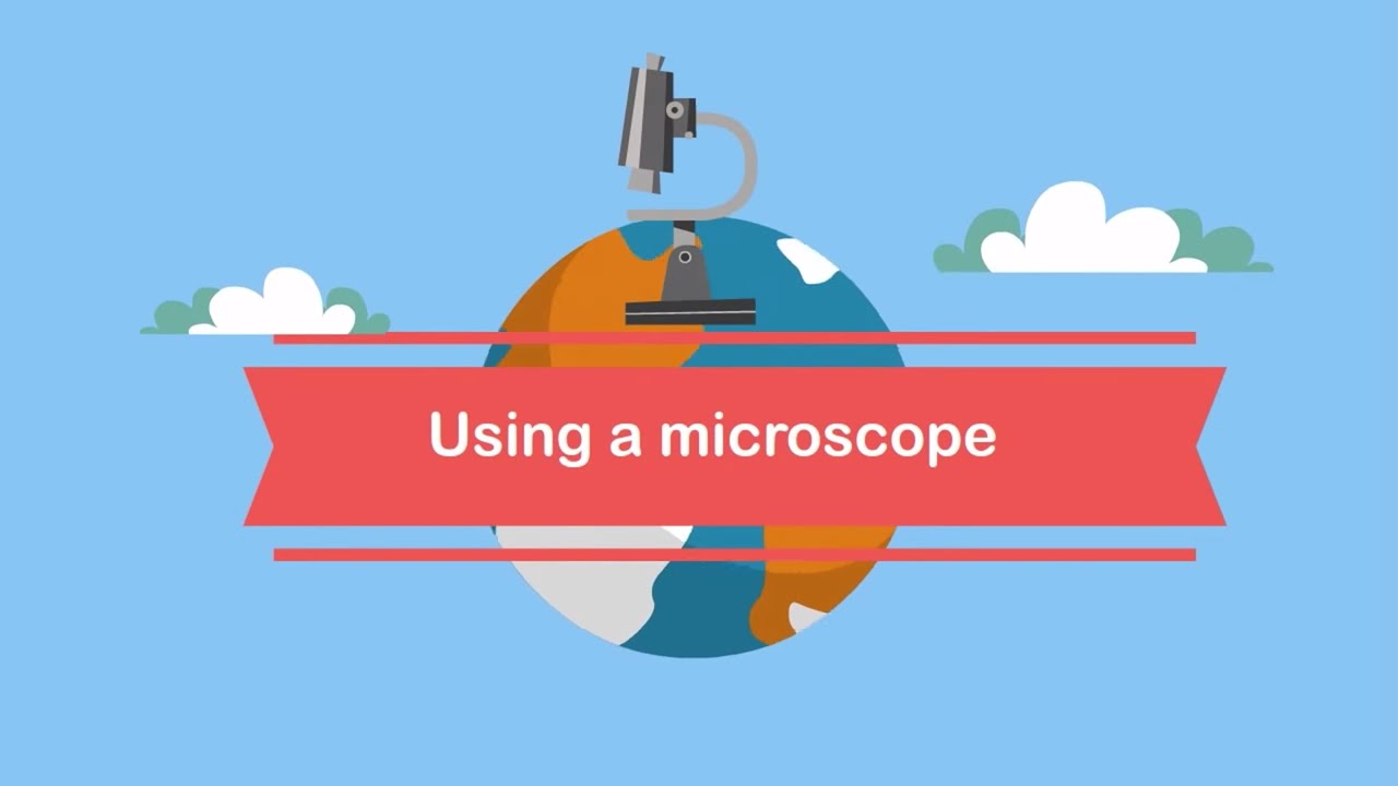 Using a microscope The parts and how to focus