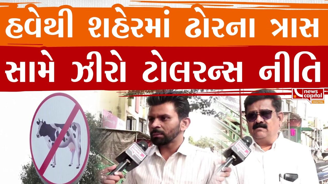 Ahmedabad : હવેથી શહેરમાં ઢોરના ત્રાસ સામે ઝીરો ટોલરન્સ નીતિ