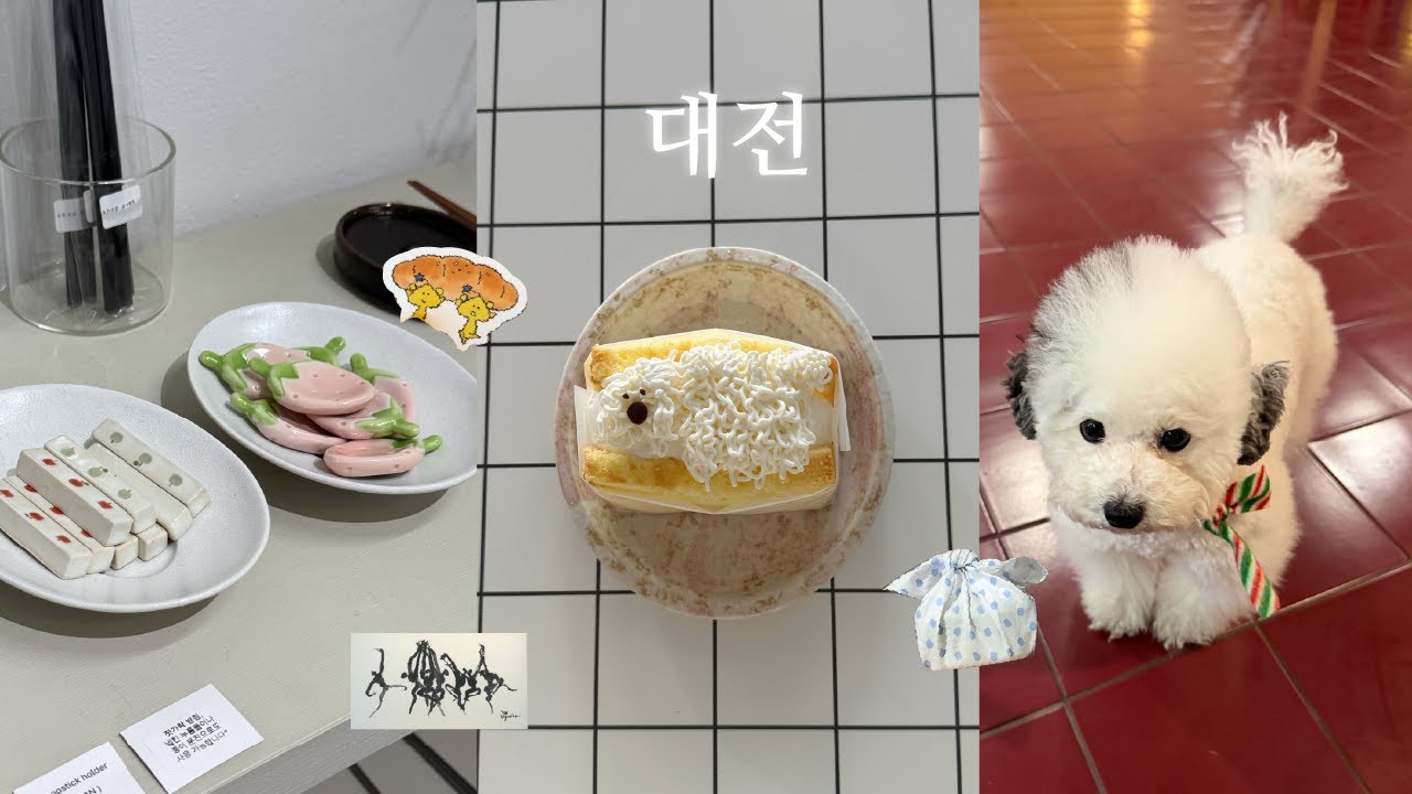 나혼자 대전 당일치기 vlog🥐 귀여운 강아지있는 감성 카페부터 현지인픽 맛집, 미술관까지 총정리!