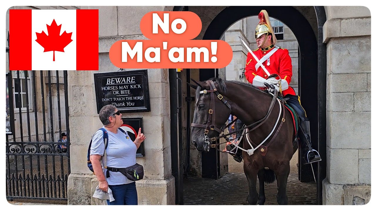Lady Walks Into The Box and Asks to Touch the Horse!