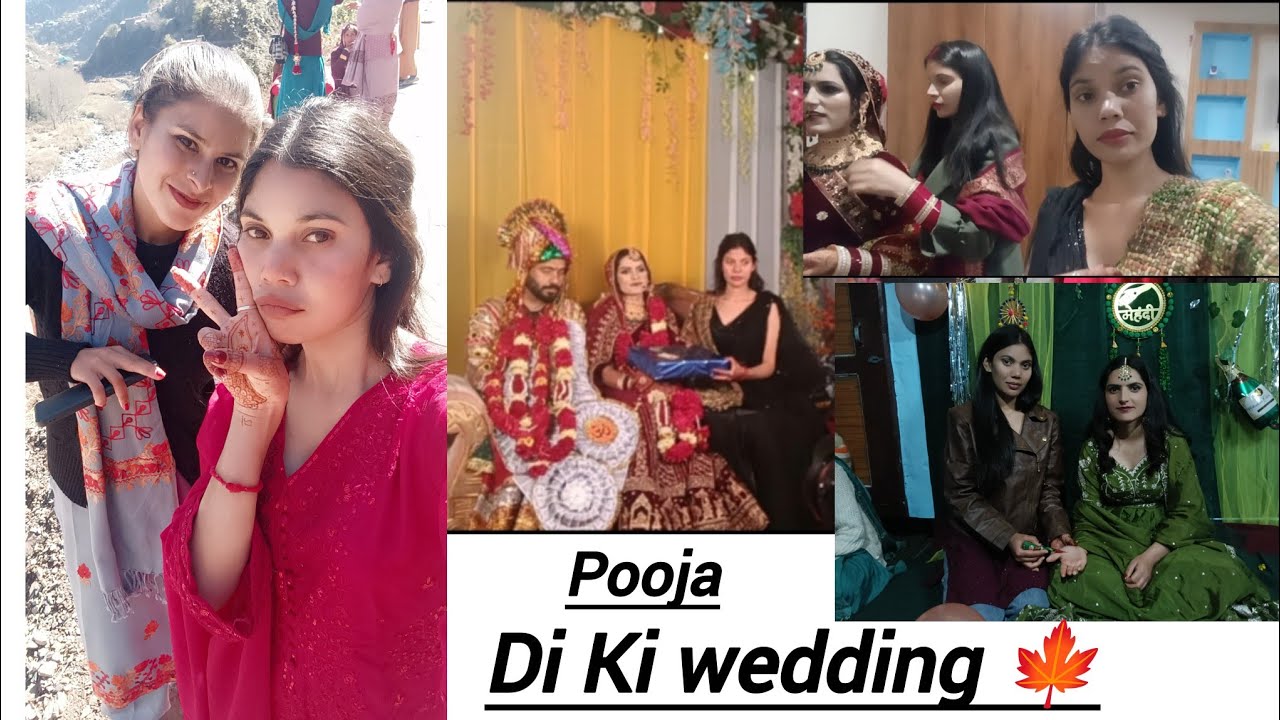 In Wedding Function 🍁😊#shilpathakuriz #youtubeshorts #wedding #chamba