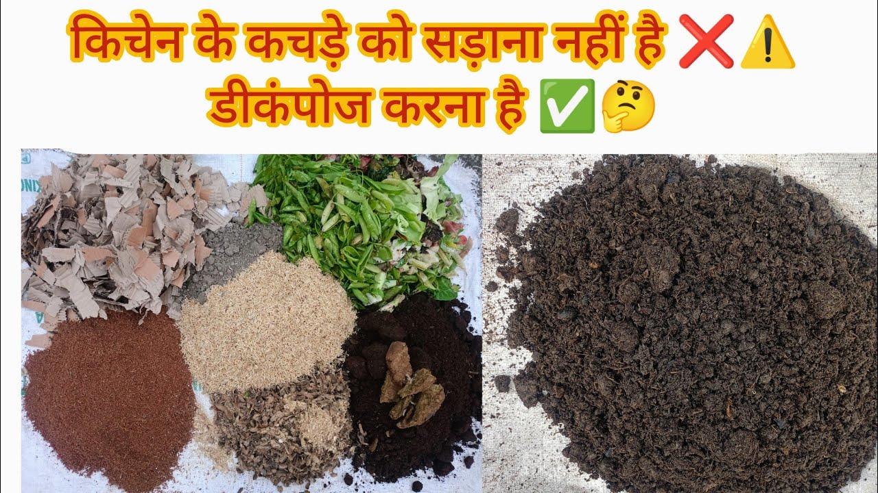 🟢 किचन के कचड़े से खाद बनाने का सही तरीका / How to Make Kitchen waste Decompose 🌿